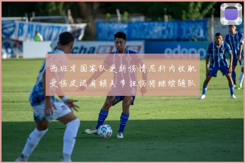 西班牙国家队更新伤情尼科内收肌受伤皮诺肩锁关节扭伤将继续随队训练