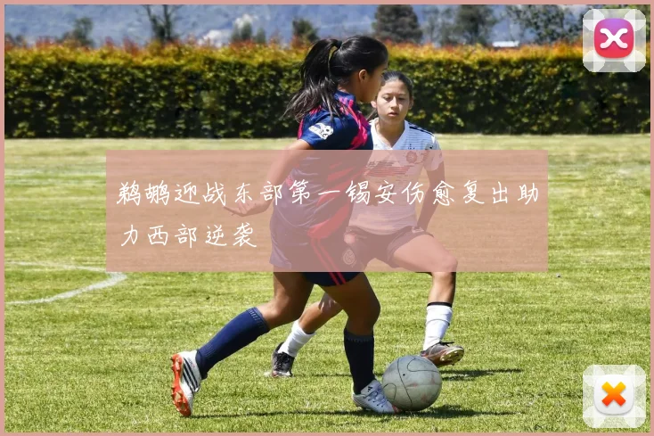 鹈鹕迎战东部第一锡安伤愈复出助力西部逆袭